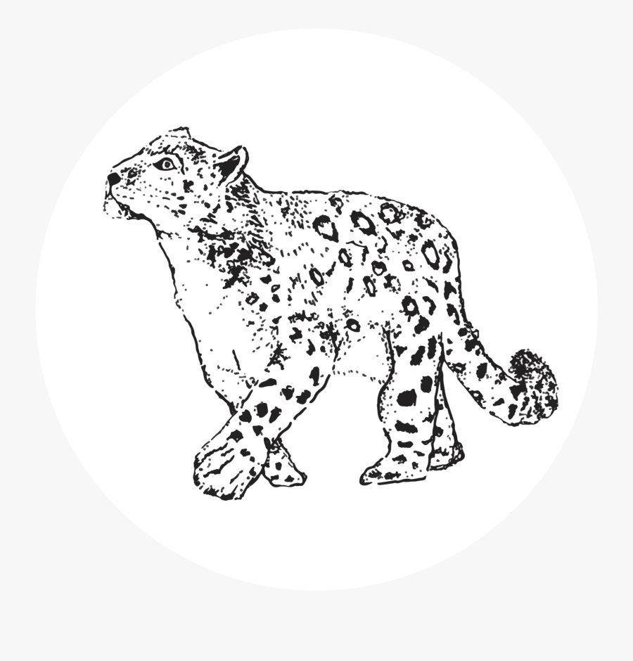 Logo - Illustration, Transparent Clipart