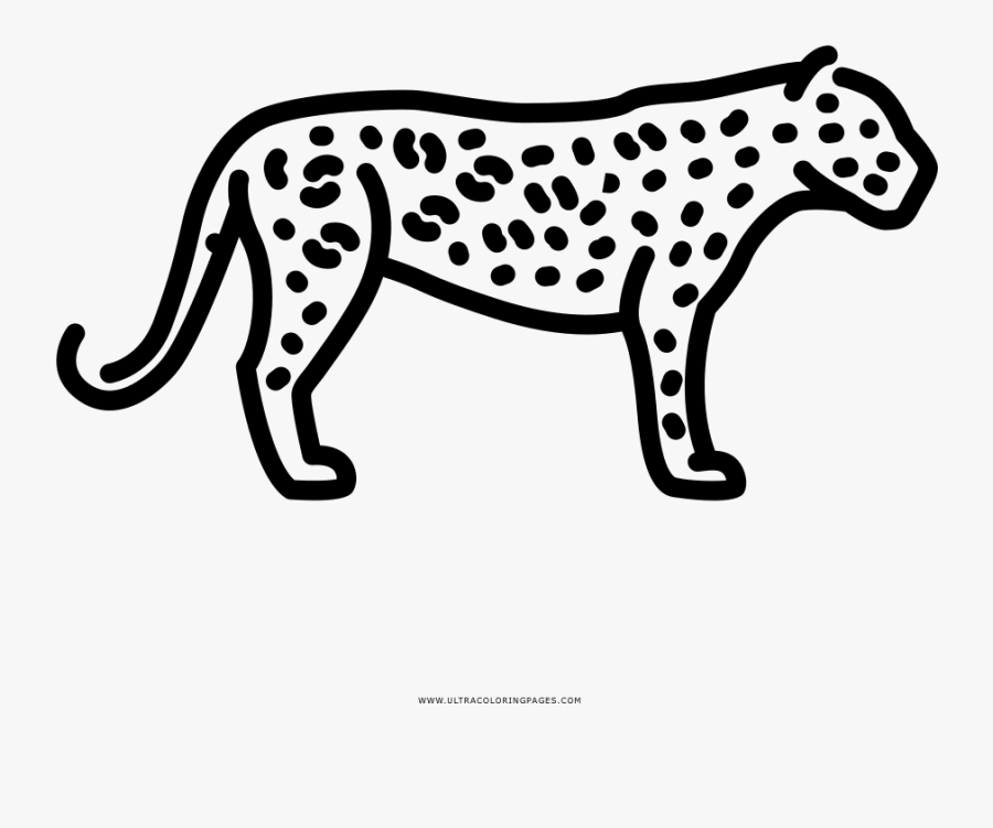 Coloring Book, Transparent Clipart