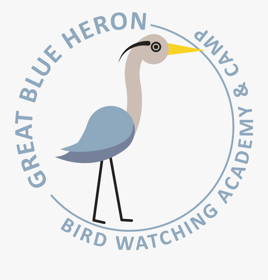 Duck, Transparent Clipart