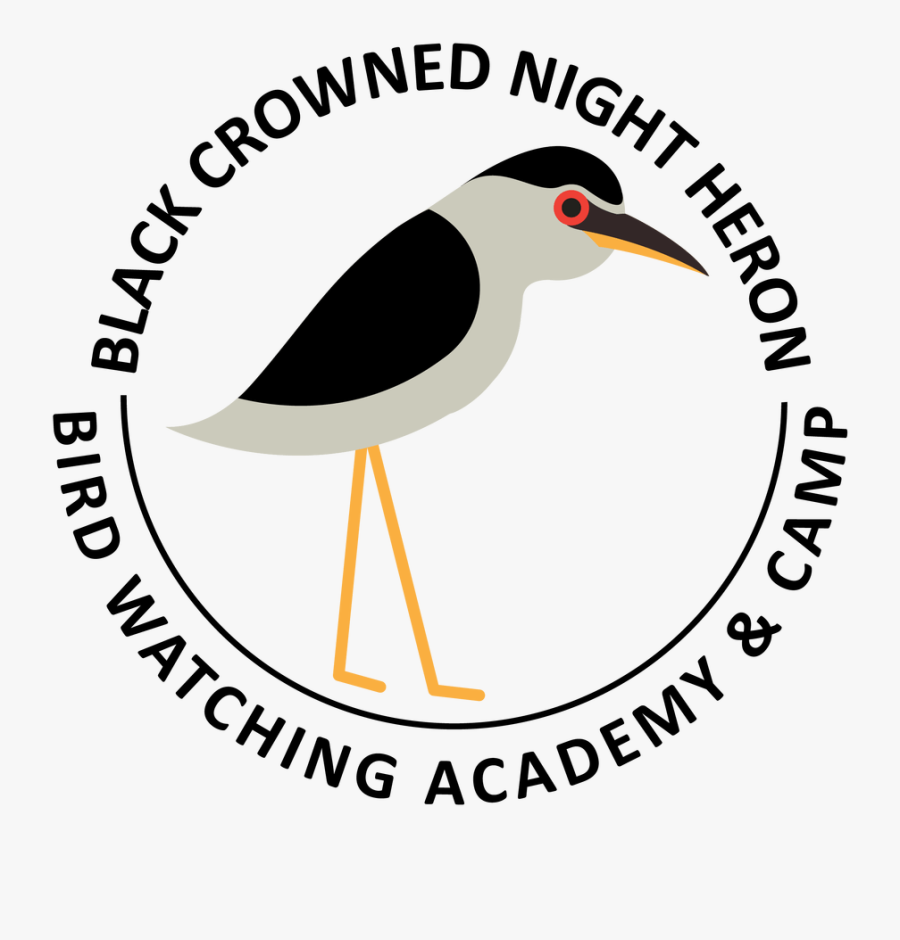 Nafta, Transparent Clipart