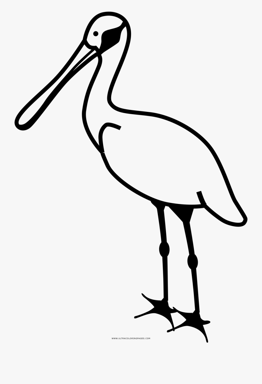 Heron Coloring Page - Imágenes De Garza Para Dibujar, Transparent Clipart
