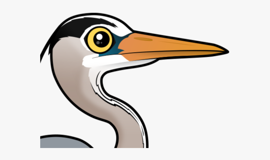 Green Heron Clipart Great Egret, Transparent Clipart