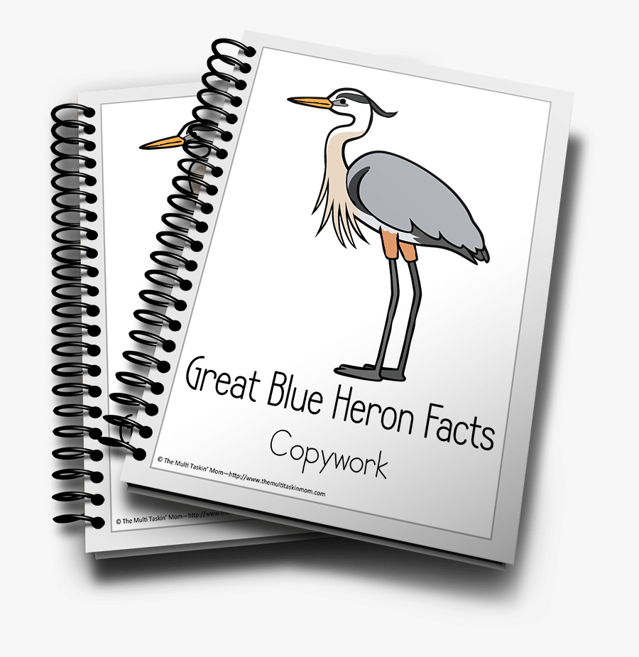 Tax Training Course, Transparent Clipart