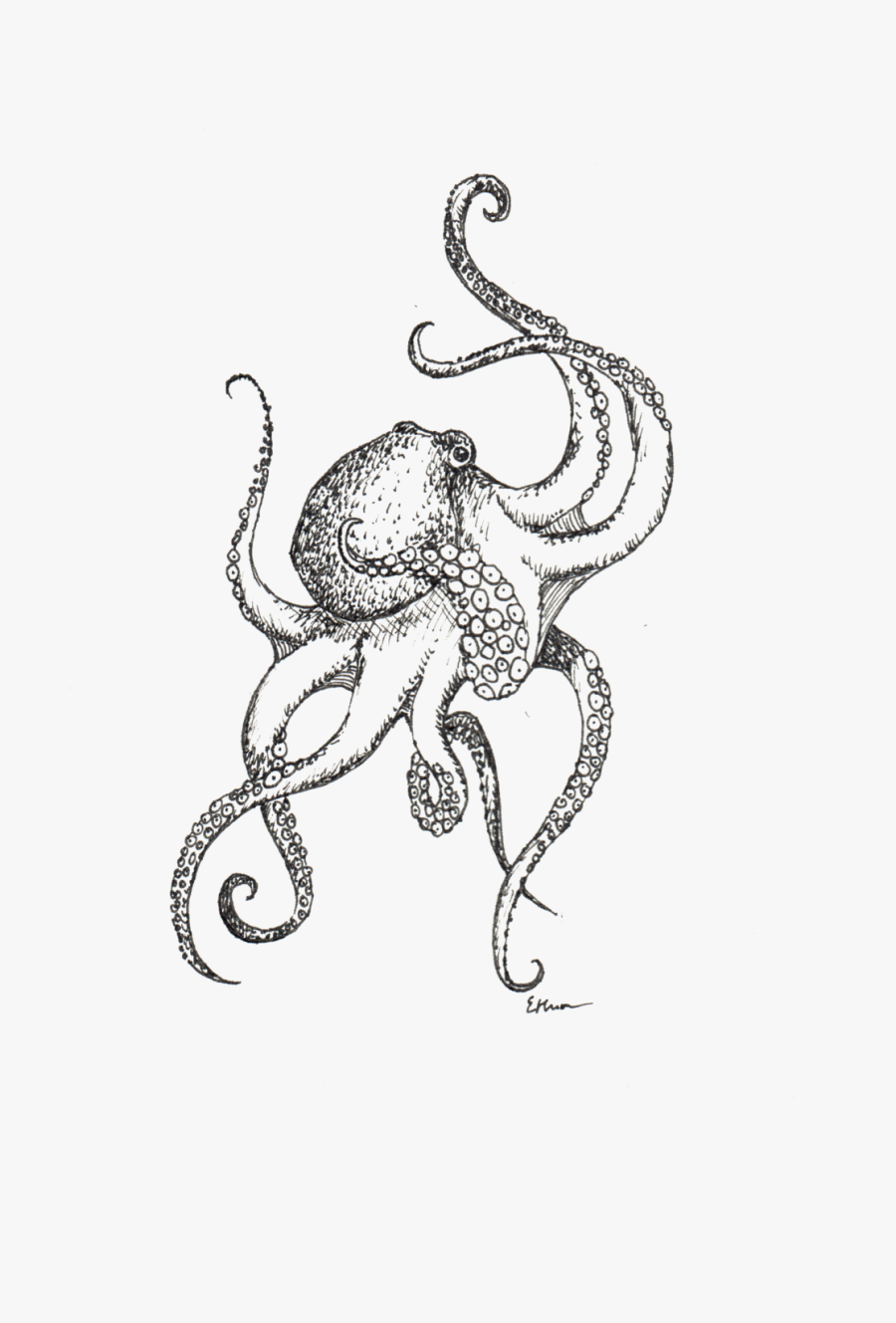 Octopus, Transparent Clipart