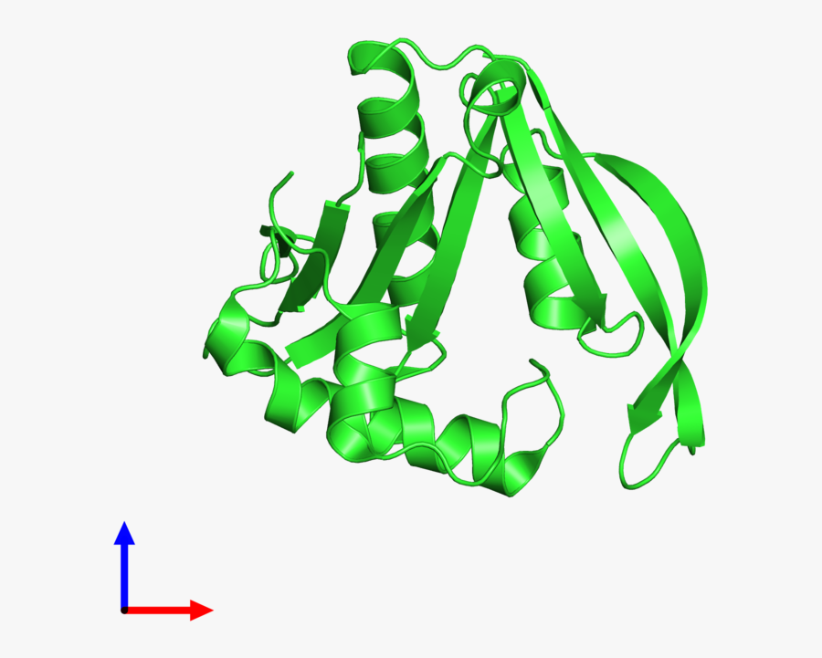 Pdb 4h89 Coloured By Chain And Viewed From The Front - Graphic Design, Transparent Clipart