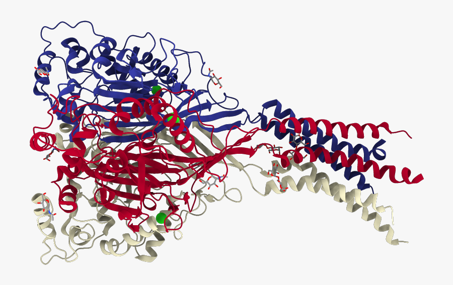 Illustration, Transparent Clipart