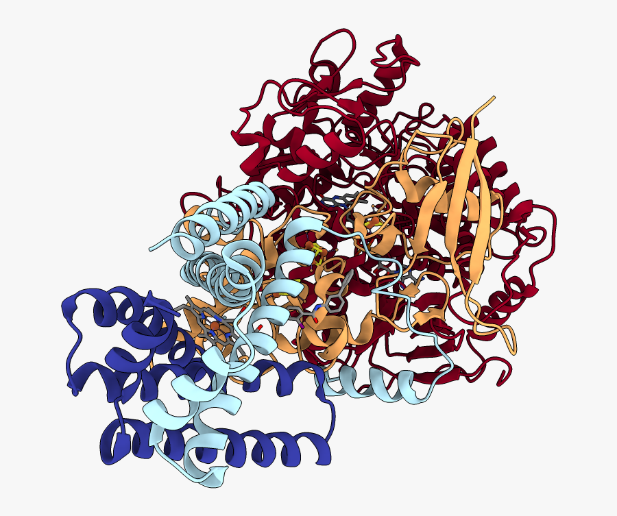 Illustration, Transparent Clipart