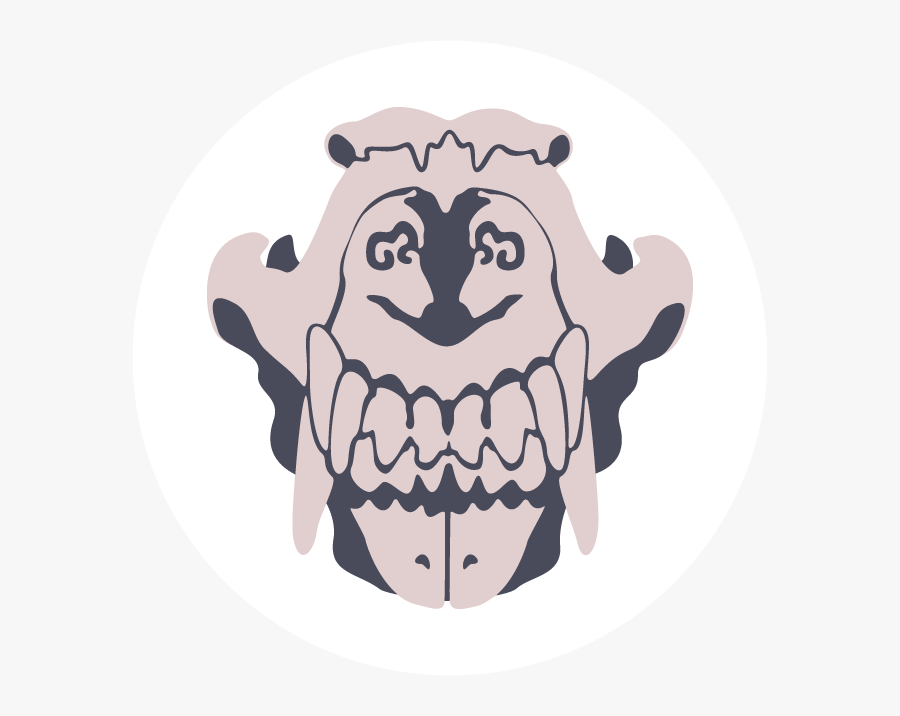 Identify Any Bone - Illustration, Transparent Clipart