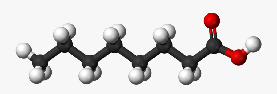 Fatty Acid Molecule Ball And Stick, Transparent Clipart