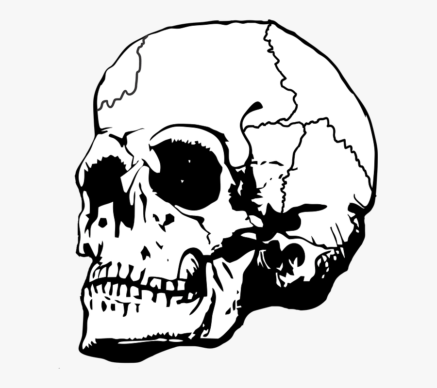 Skull With Crown Transparent, Transparent Clipart