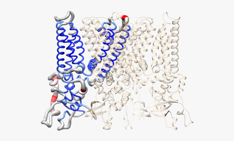 Chain, Transparent Clipart