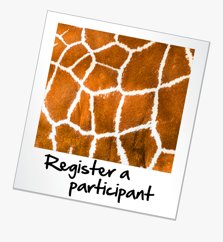 New Year Resolutions 2011, Transparent Clipart