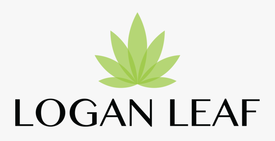 Logan Leaf Oils And, Transparent Clipart