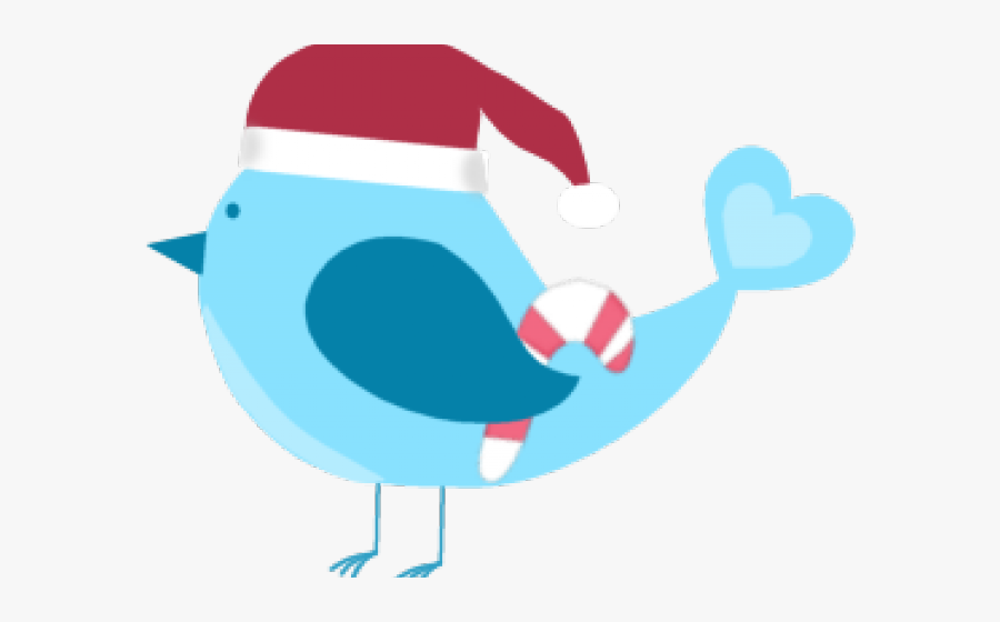 Christmas Clipart Bird - Illustration, Transparent Clipart