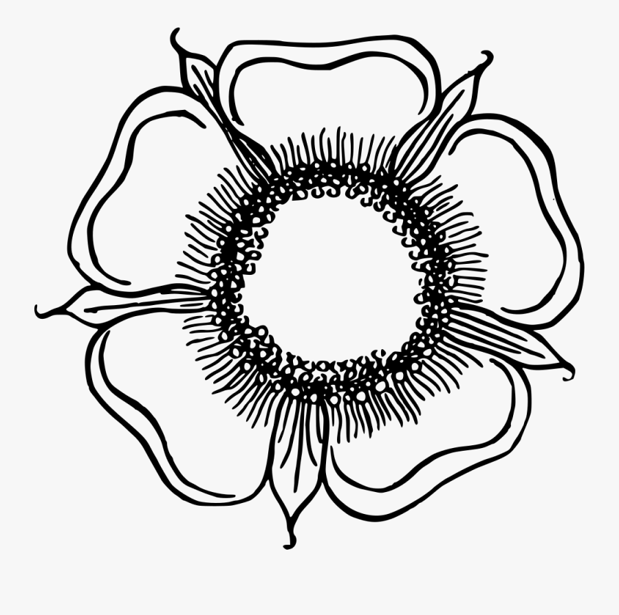 Flower, Transparent Clipart