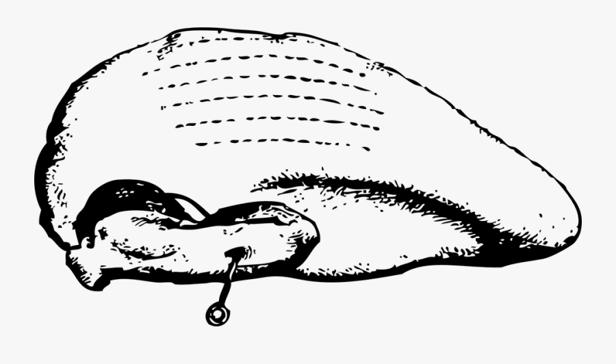 Chicken Breast Icon Transparent Background, Transparent Clipart