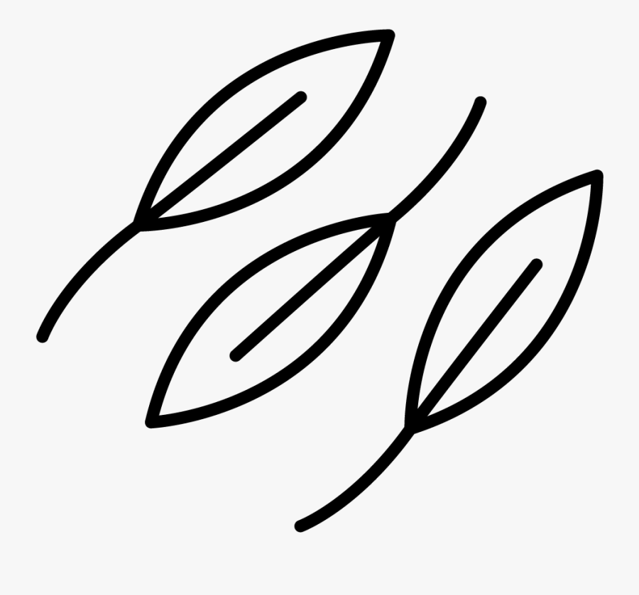 Cumin - Line Art, Transparent Clipart