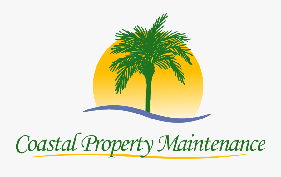 Coastal Property Maintenance Logo - Attalea Speciosa, Transparent Clipart