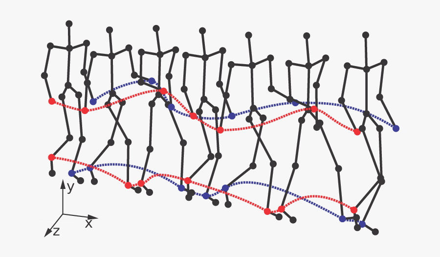 Motion Capture Data - Motion Capture Frame By Frame, Transparent Clipart