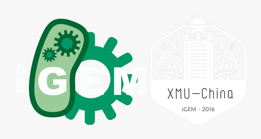 International Genetically Engineered Machine Clipart - International Genetically Engineered Machines, Transparent Clipart