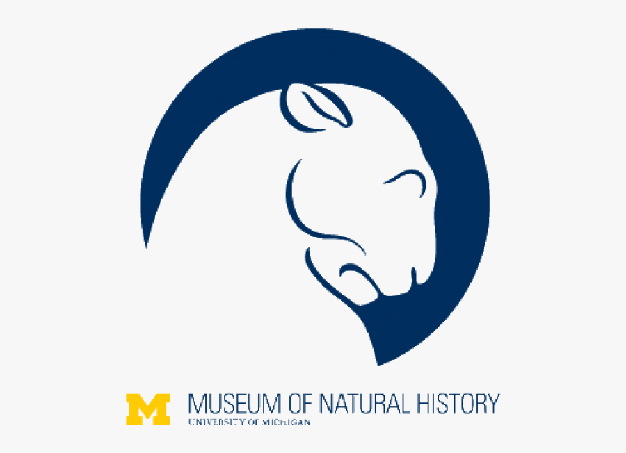 U Of M Natural History Museum Logo, Transparent Clipart