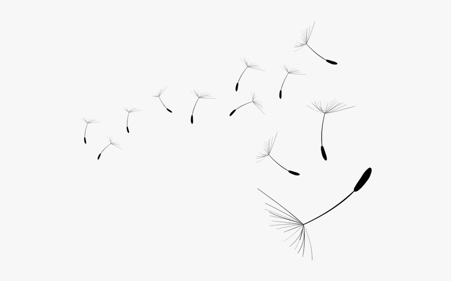 Dandelion Png Hd - Drawing, Transparent Clipart