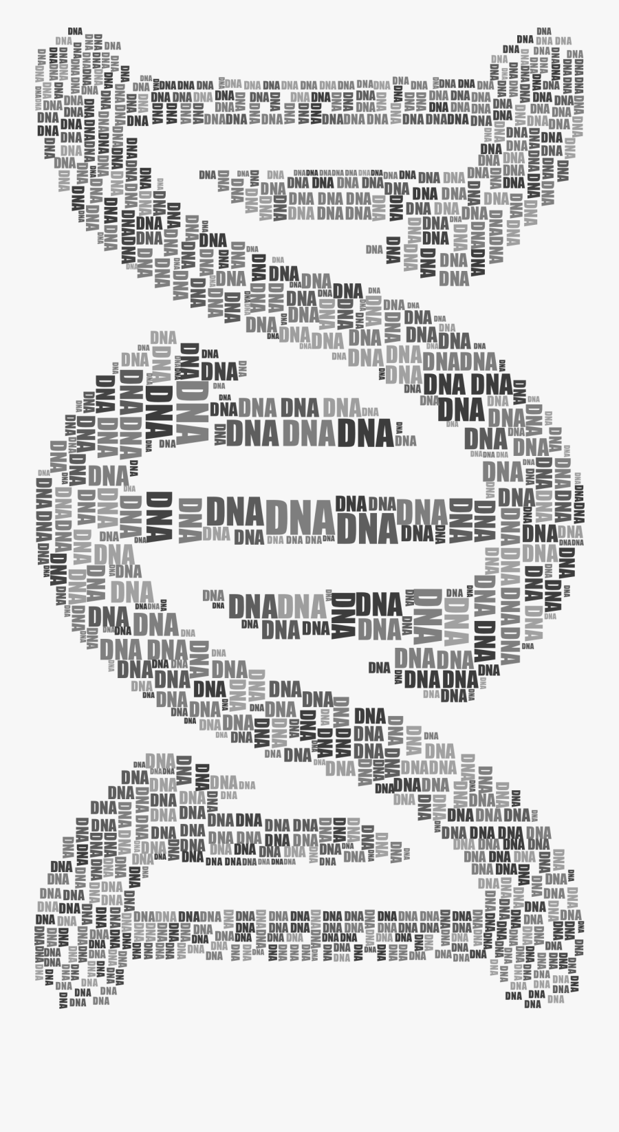 Visual Arts,angle,area - Dna Science Png Transparent, Transparent Clipart