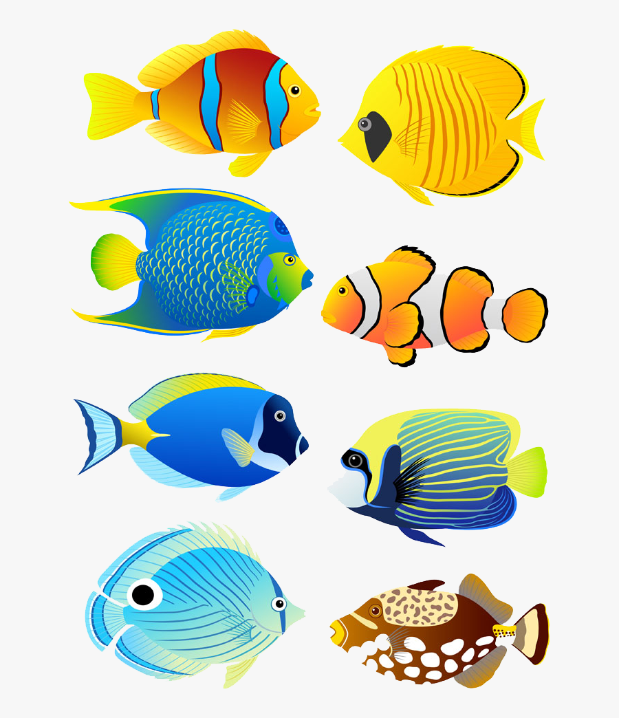 Free Clipart Tropical Fish - Coral Reef Fish Cartoon, Transparent Clipart