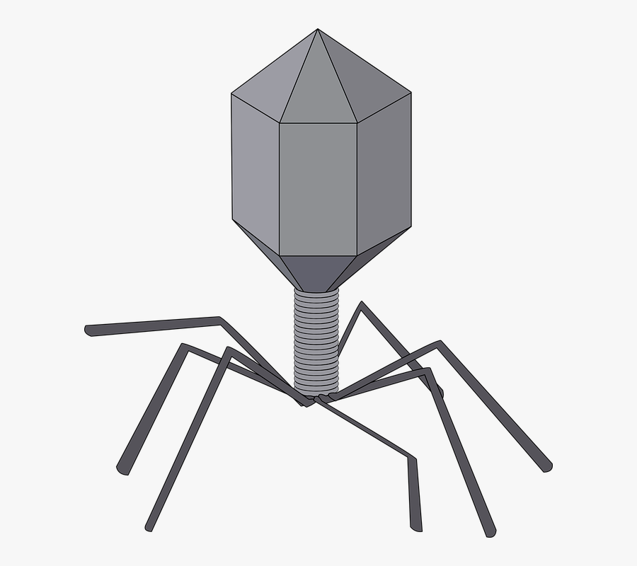 Virus, Bacteriophage, Biology, Disease, Microbe - Virus Black And White, Transparent Clipart