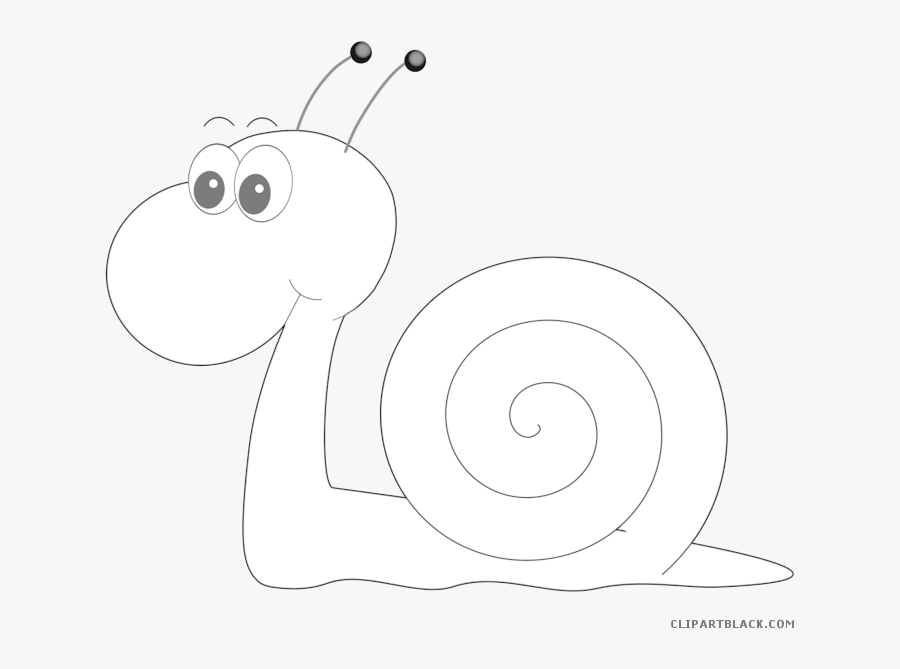 snail-outline-animal-free-snail-free-transparent-clipart-clipartkey