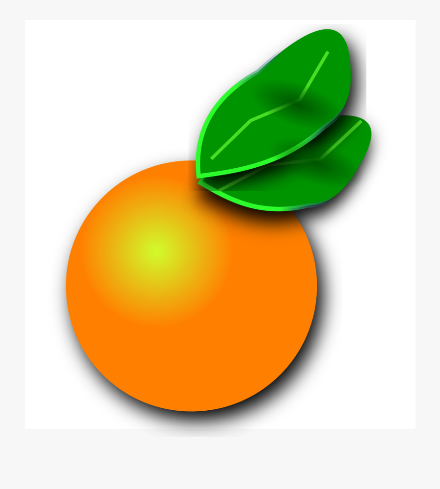 Thumb Image - Florida Orange Clip Art, Transparent Clipart
