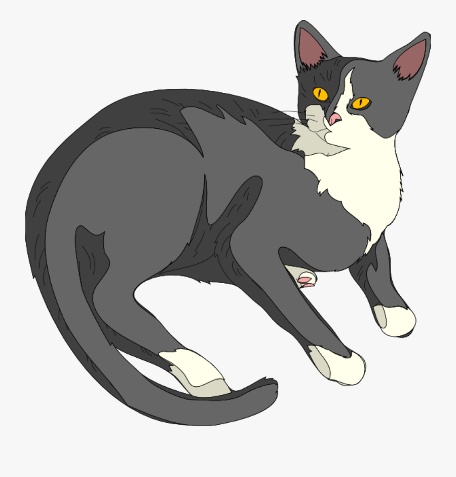 Gatto Cat 3 Clip Art - Cat Realistic Clipart, Transparent Clipart