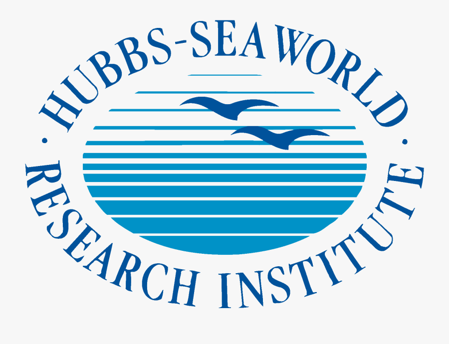About Hubbs Seaworld Research Institute Florida Research - Hubbs Seaworld, Transparent Clipart