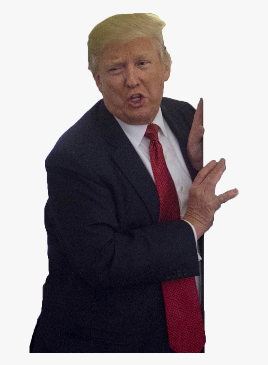 United Trump Of States Donald Businessperson President - Donald Trump Transparent, Transparent Clipart