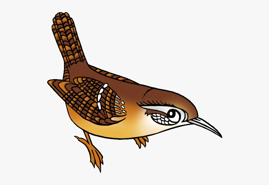 Wren Clipart Florida - Clip Art Of A Wren, Transparent Clipart