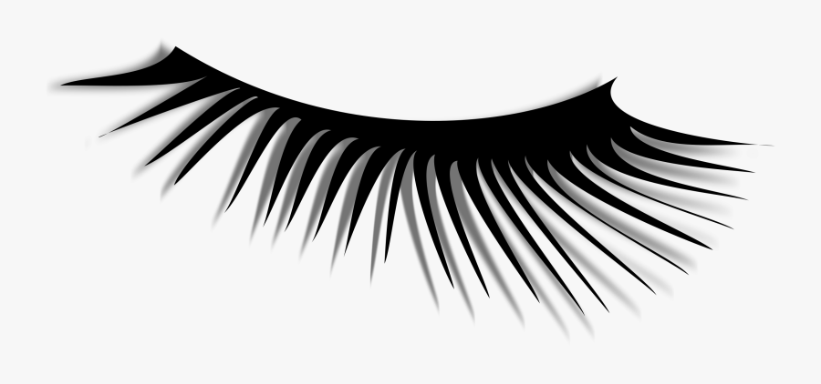 Eye Lash Images - Bulu Mata Vektor Png , Free Transparent Clipart