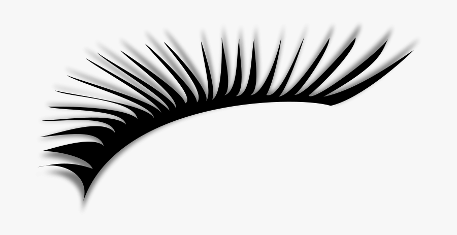Eyelash 1 - Eyelash Clipart Png, Transparent Clipart