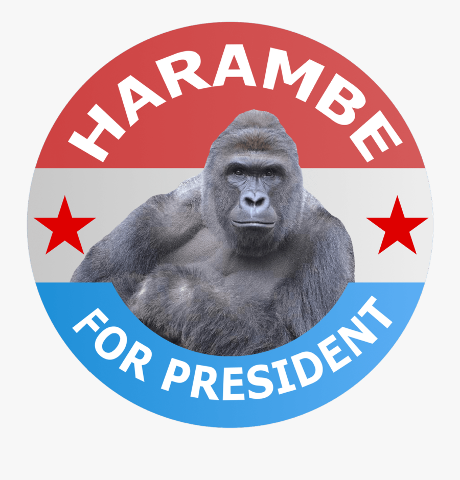 Transparent Harambe Clipart - Fourth Of July Sales Event, Transparent Clipart