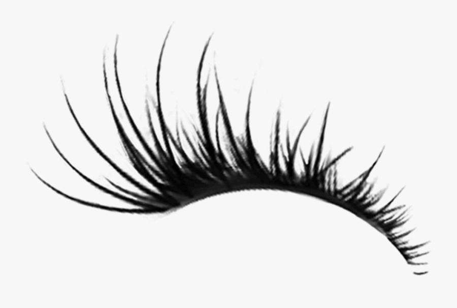 Transparent Eyelashes Clipart Transparent Background Eyelashes Png