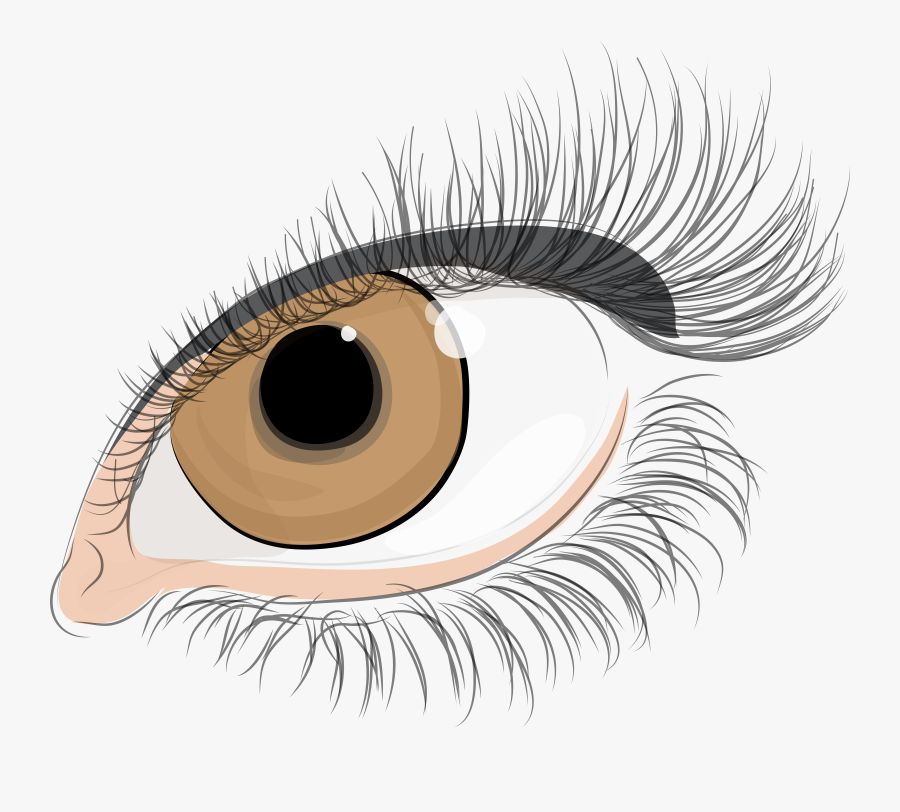 Eyelash Extensions,close Up,eye - Eyelash Extensions Transparent Background, Transparent Clipart