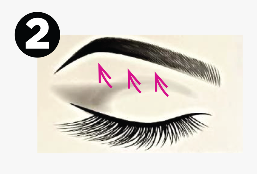 Transparent Eyelashes Png - Eyelash, Transparent Clipart