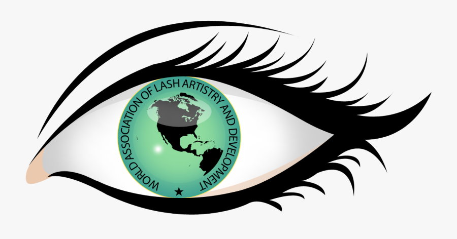 Meet Andrea Wright Eyelash - Our Products, Transparent Clipart