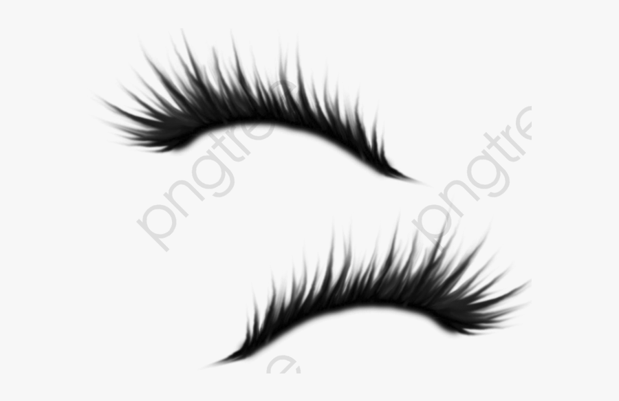 Amy Eyelash Beautiful Pretty - Eyelash Png, Transparent Clipart
