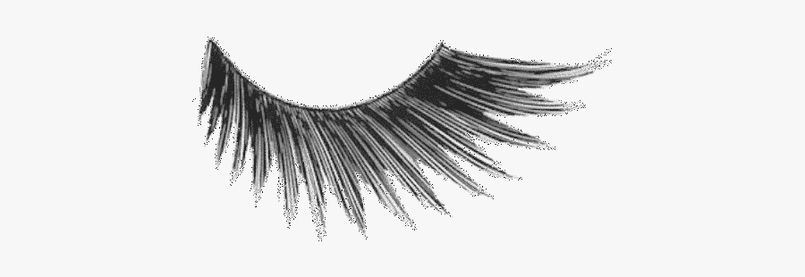Eyelash Extensions Cosmetics Mascara Kryolan - Lash Transparent Png, Transparent Clipart