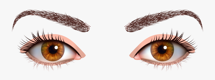 Brown Female Eyes Png Clipart - Transparent Background Brown Eyes