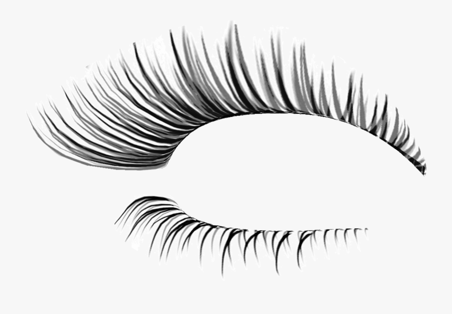 Transparent Eyelash Vector Png - Transparent Background Eyelashes Transparent, Transparent Clipart
