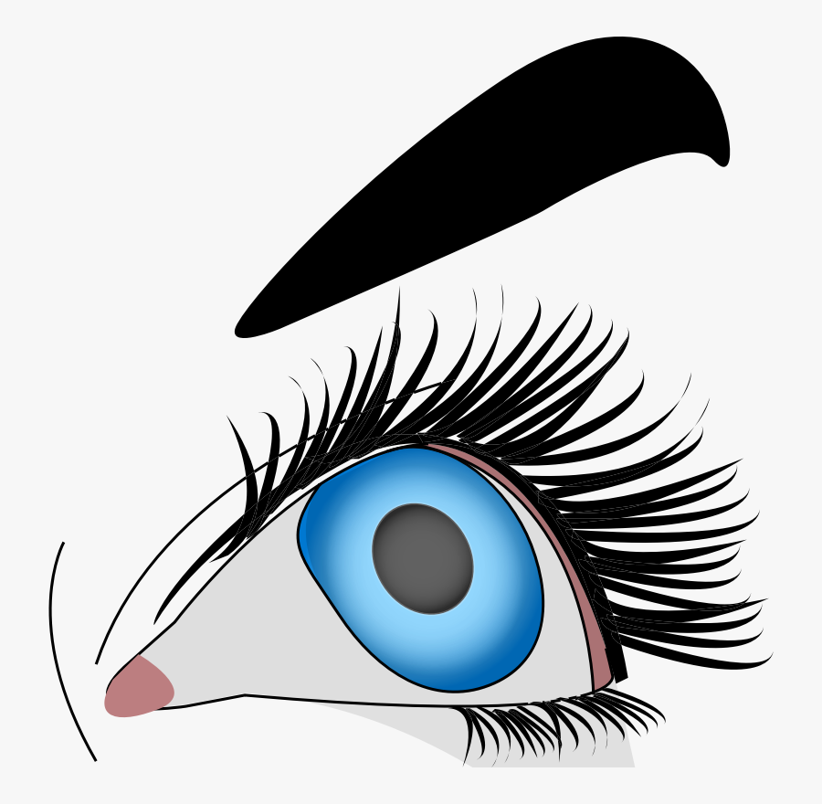 Eye,organ,eyelash - Blue Female Eye Png, Transparent Clipart