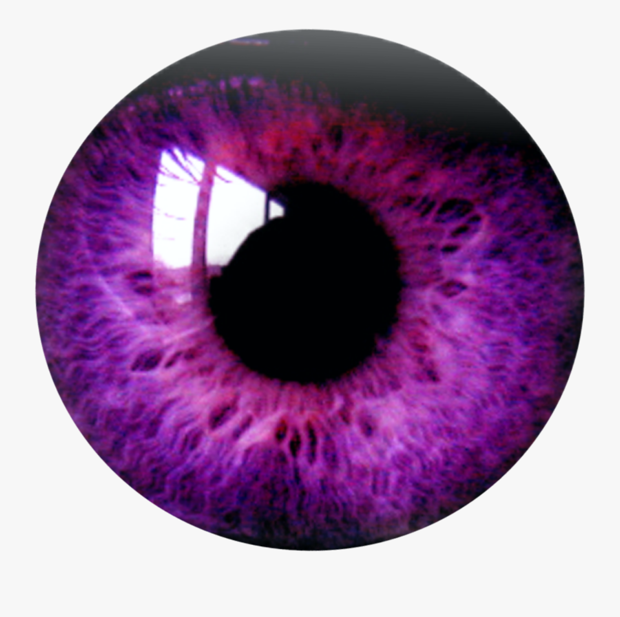 Clipart Royalty Free Download Eyelash Clipart Purple - Purple Eye Lens Png, Transparent Clipart