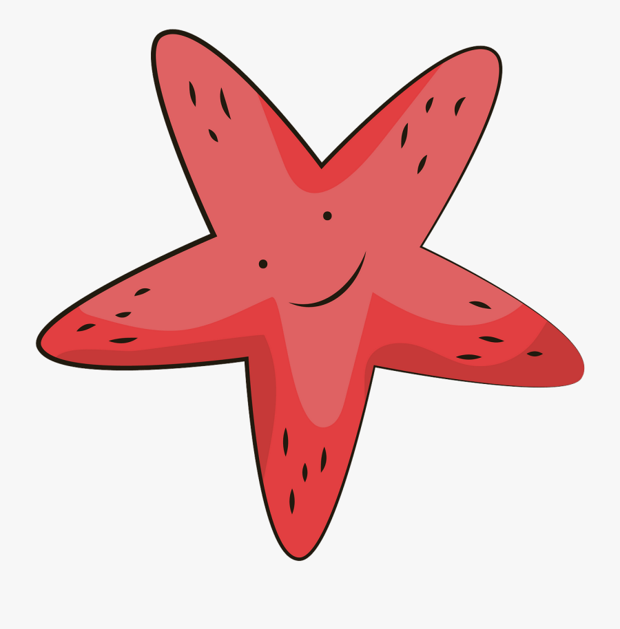 Starfish, Transparent Clipart