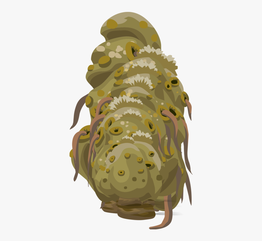 Organism,plants,sea - Clip Art, Transparent Clipart